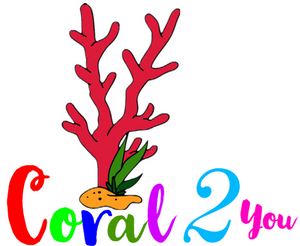 Coral2you